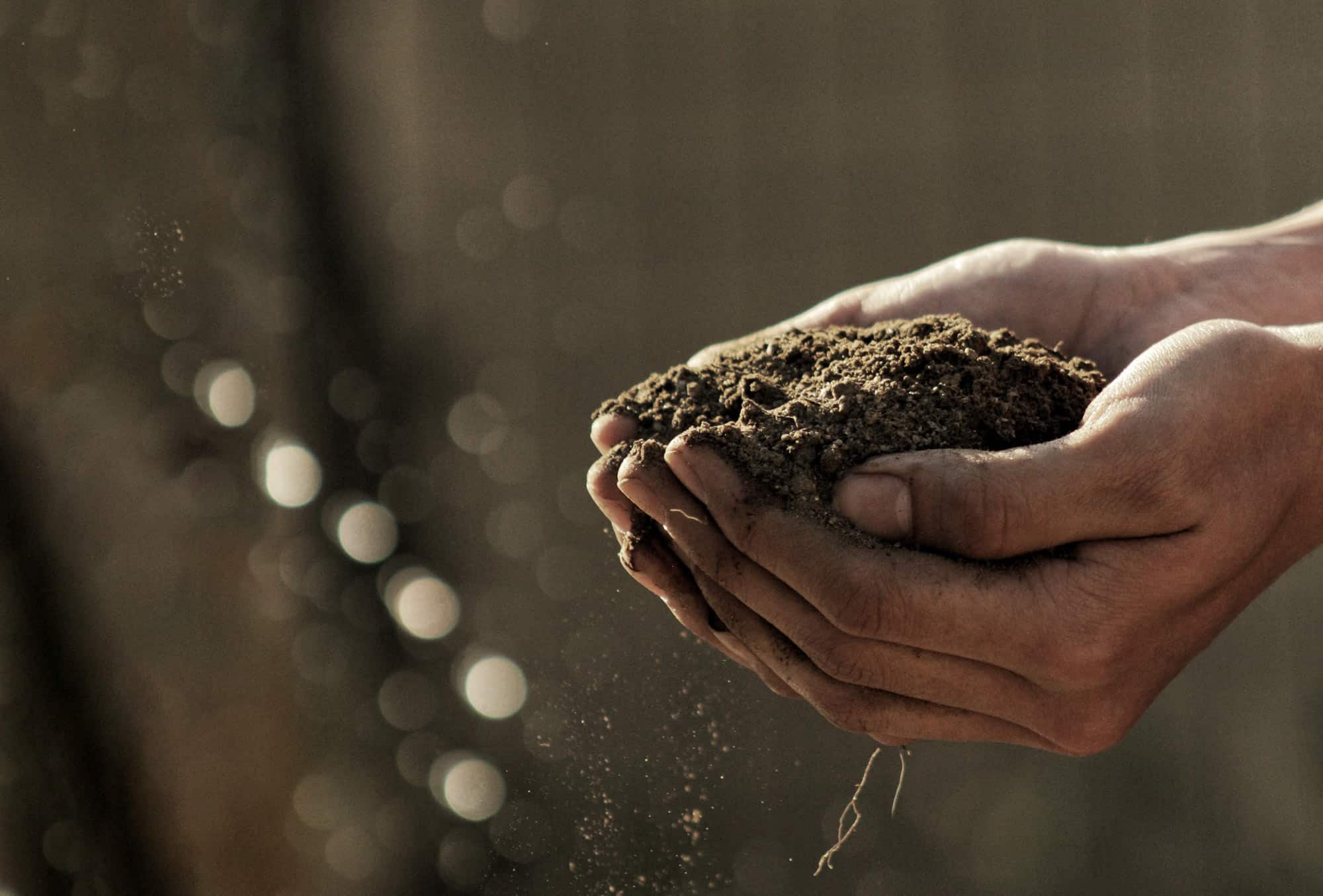 dirt